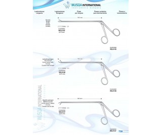 Laminectomy Rongeurs 